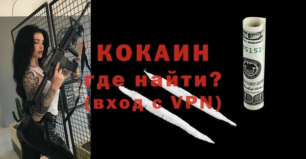 молекула духа Пересвет