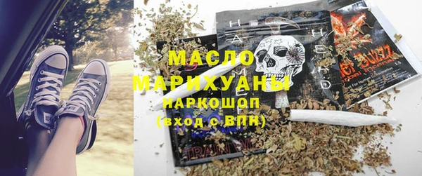 молекула духа Пересвет