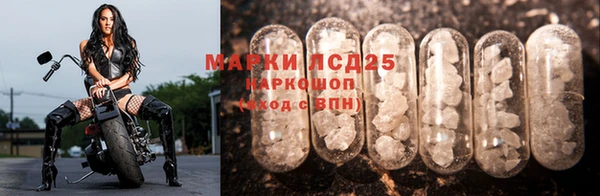 дмт Пестово