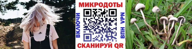 Галлюциногенные грибы мухоморы  Купить закладки  Сельцо 