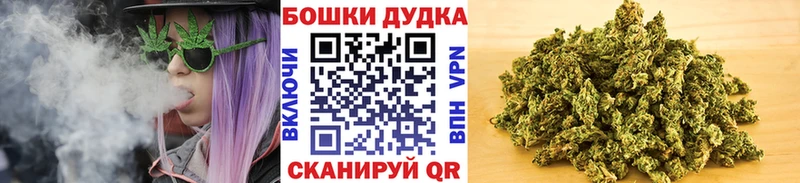 Марихуана планчик  Купить где  Сельцо 